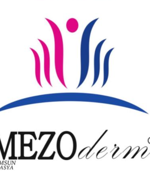 mezoderm-logo mezoderm-logo